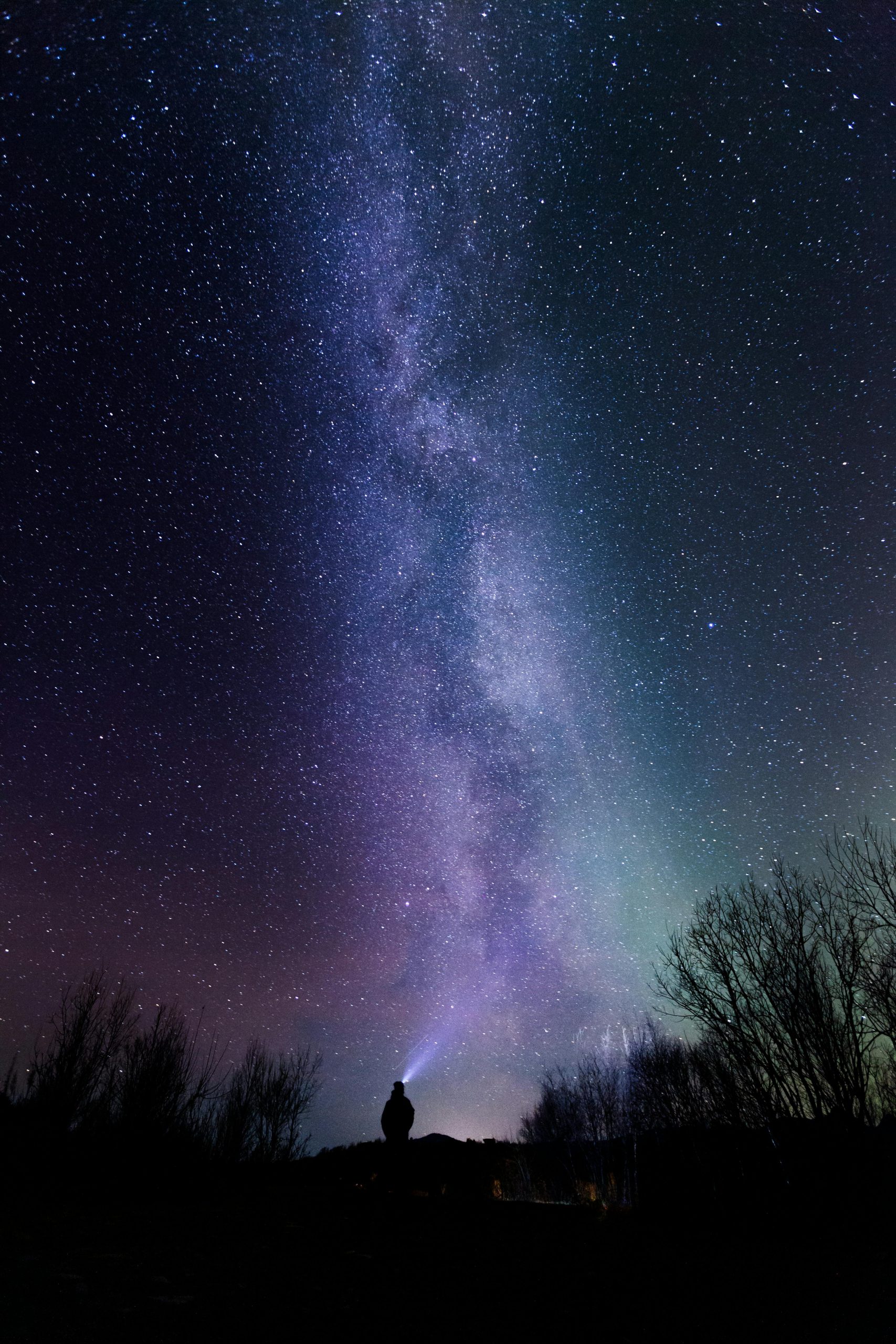 A breathtaking view of the Milky Way above a silhouetted figure exploring the night sky.